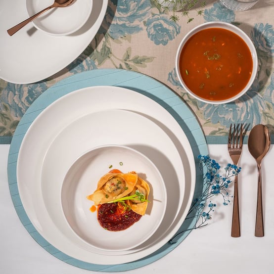 231-24713-ariane-vital-coupe-porcelain-plates-bowls_01