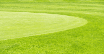 Golfing Green Image