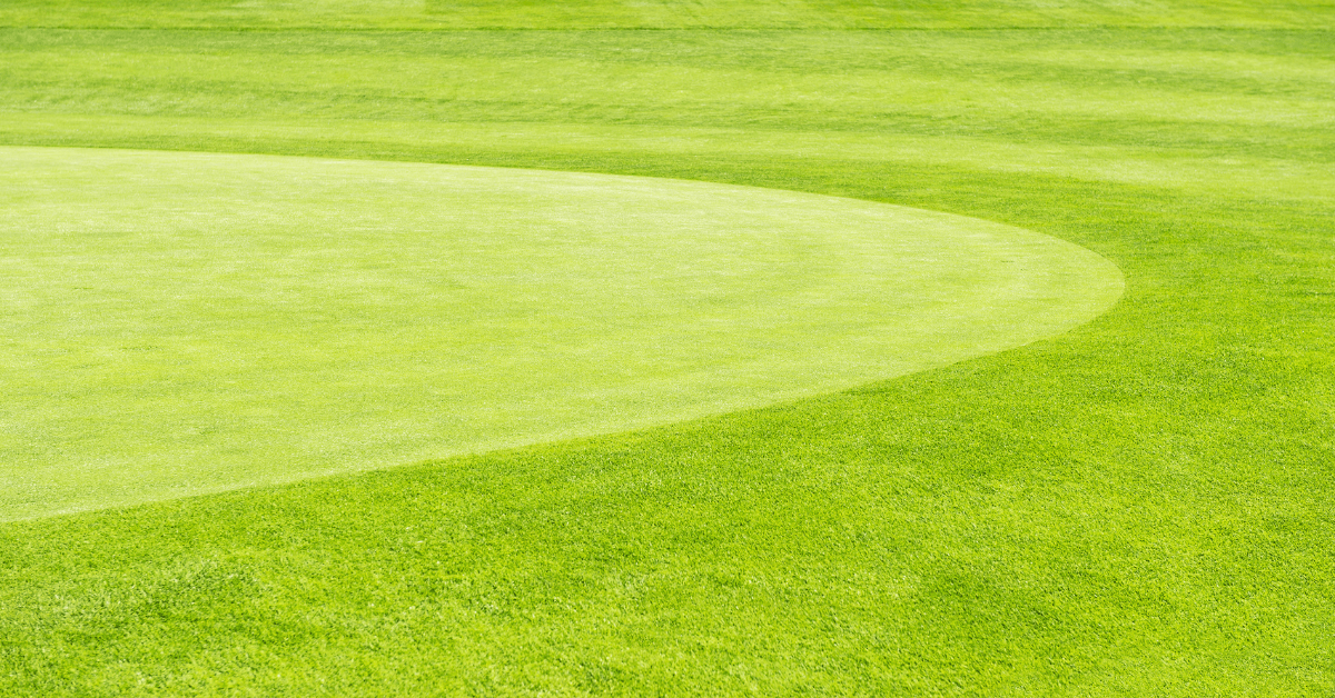 Golfing Green Image